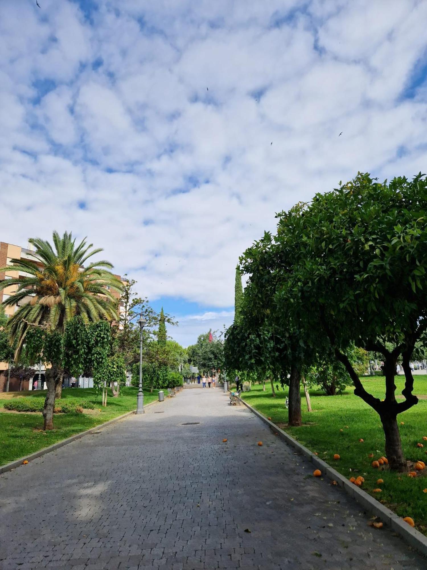 Salusahome Parking Gratuito Córdoba Exteriör bild